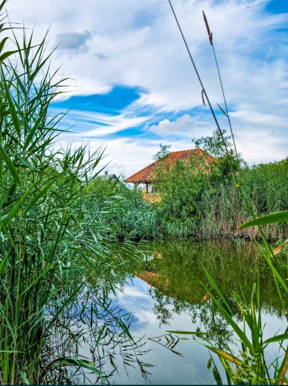 Agroturystyka Pod Podkowa Villa Mrągowo Kültér fotó