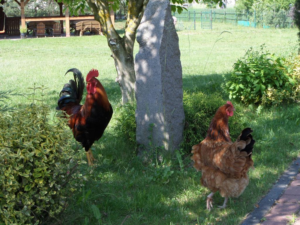 Agroturystyka Pod Podkowa Villa Mrągowo Kültér fotó